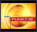RTL Punkt 12 vom 19.08.08 - Stripkurs bei der Stripschule in München